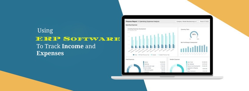 Using ERP Software to Track Income and Expenses